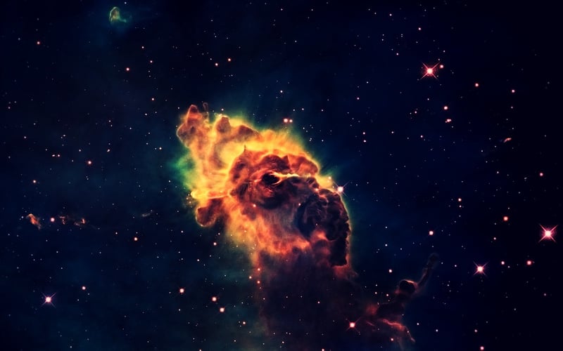 Cosmic Flora